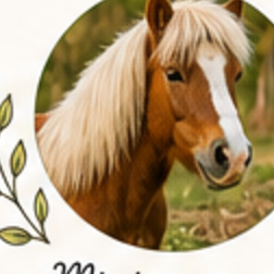 Mini poney